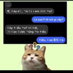 Hưng Phan Profile Picture