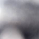 Trai Dâm Profile Picture