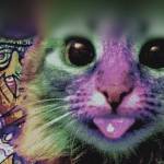 Phuong Huynh Profile Picture