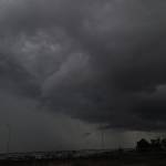 coconutmilk Profile Picture