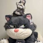 Đạt Trằn Profile Picture