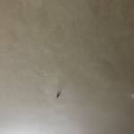 Pin Hoang Profile Picture