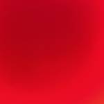 Lê Quang Profile Picture