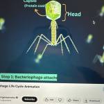 Kane1999 Lê Profile Picture