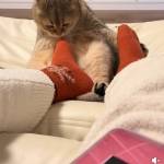 Duy anh Đào Profile Picture