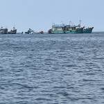 nhutho Profile Picture