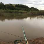 hoà thái Profile Picture