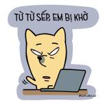 Duy Trần Profile Picture