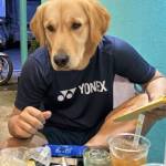 Dương Nguyễn Profile Picture