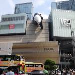 Amumu99 Profile Picture