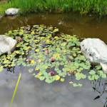 Tâm Profile Picture