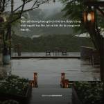 mixixj Profile Picture