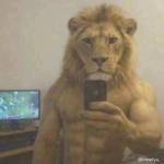 Bảo Nguyễn Profile Picture