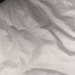 Acayoi Profile Picture