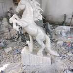 Sơn Trần Profile Picture