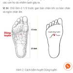 Long Tu Profile Picture