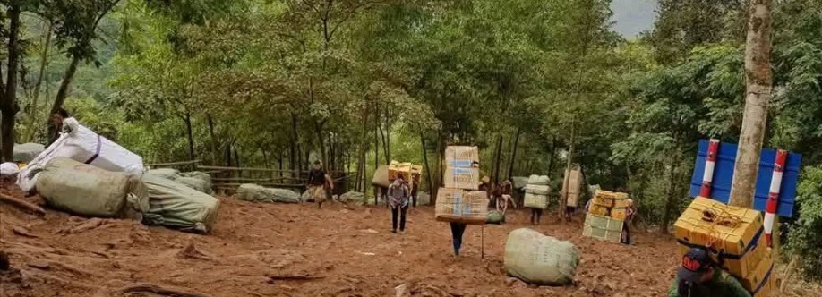 Trần Long Cover Image