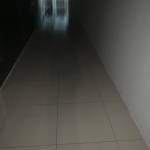 Thinh Nguyen Profile Picture