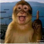 Liam Liam Profile Picture