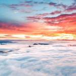 Trung Nguyễn Profile Picture