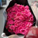 Ti Gob Profile Picture