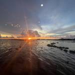 Trung Nguyễn Profile Picture