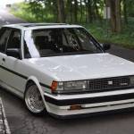 Ti Tran Profile Picture