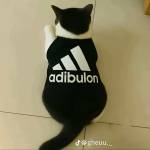 Ty Ty Profile Picture