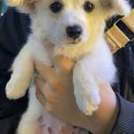 Dang Hai Profile Picture