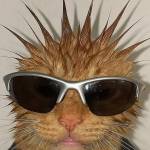 Alo Nguyen Profile Picture