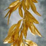 Vanvu0210 Profile Picture