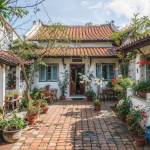 BoyNumBerOne Profile Picture