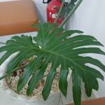 Anh32 Profile Picture