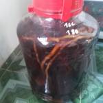 Quy Hô Profile Picture