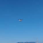 Quang Vinh Trịnh Profile Picture