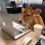 Xabi9x Profile Picture