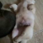 Tai Luu Profile Picture