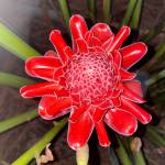 Thọ Nguyễn Profile Picture