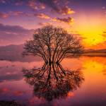 long nguyễn Profile Picture