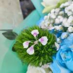 Long Long Profile Picture