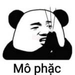 caohoangde98 Profile Picture