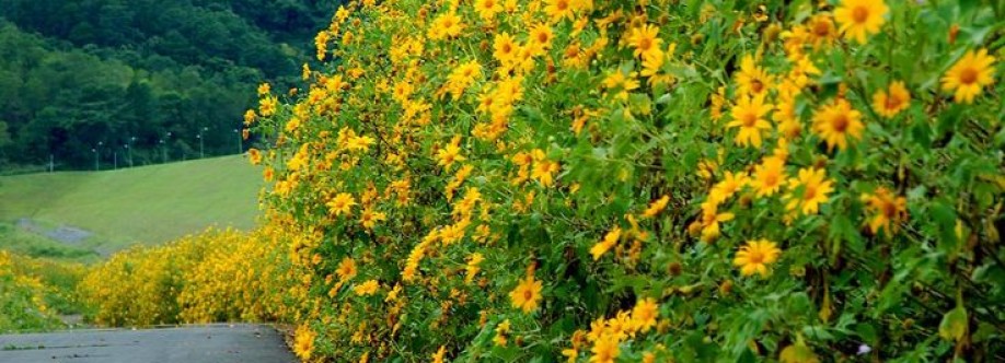 Khánh Huyền Cover Image