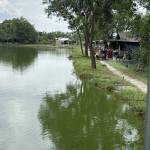 Bausen1403 Bau Profile Picture