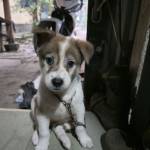 deptraimegai Profile Picture