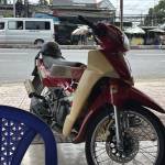 Tỏi Tỏi Profile Picture