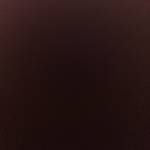 le le Profile Picture