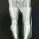 Hung Nguyên Profile Picture