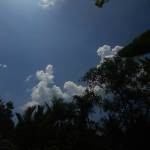 Quân Trần Profile Picture