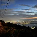 Quốc Quy Profile Picture