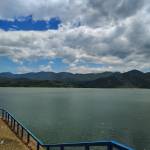 Shenjji Le Profile Picture